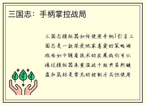 三国志：手柄掌控战局